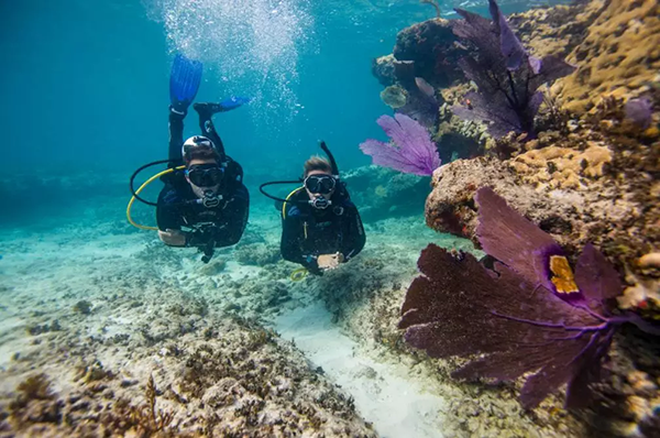 【水肺潛水安全嗎？】轉(zhuǎn)自PADI