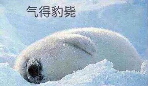 原來你是這樣的潛水員妹子！